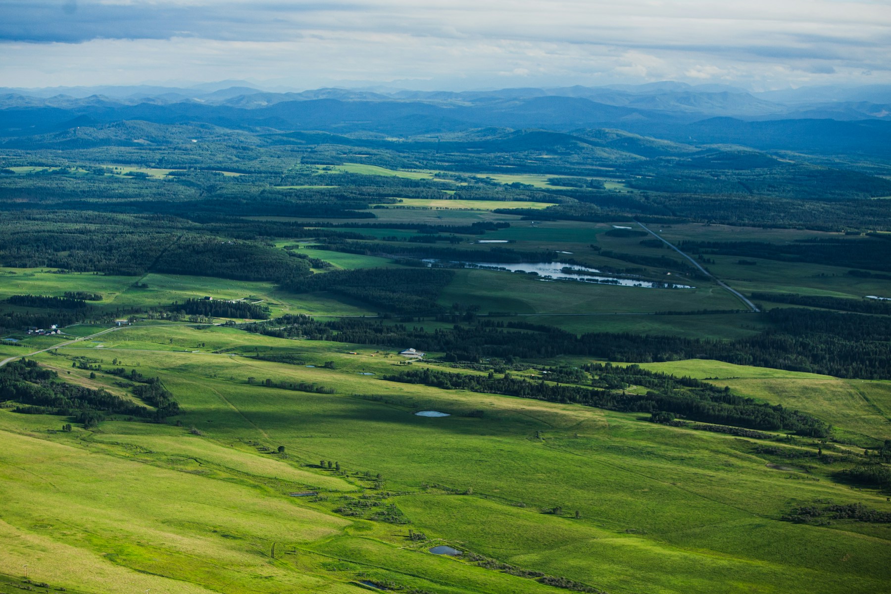 Green prairie and wooded foothills west of Calgary, Alberta, with mountains on the horizon.